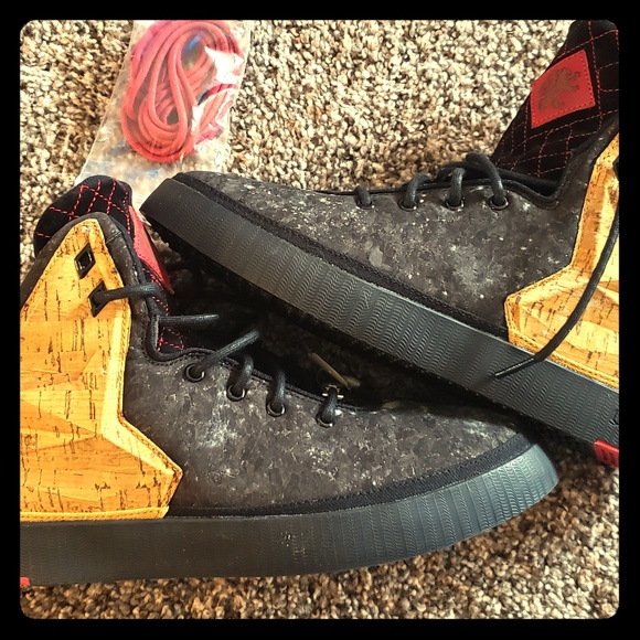 Labron James Other - Labron James 11s